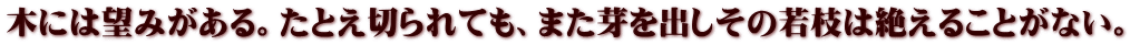 やもりは手で捕まえられるが、王の宮殿に済んでいる。