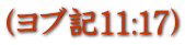 (ヨブ記11:17)