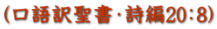 (口語訳聖書・詩編20:8)