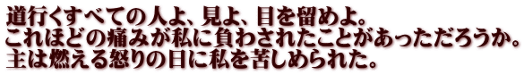 道行くすべての人よ、見よ、目を留めよ。 これほどの痛みが私に負わされたことがあっただろうか。 主は燃える怒りの日に私を苦しめられた。