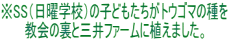 ※SS（日曜学校）の子どもたちがトウゴマの種を 教会の裏と三井ファームに植えました。